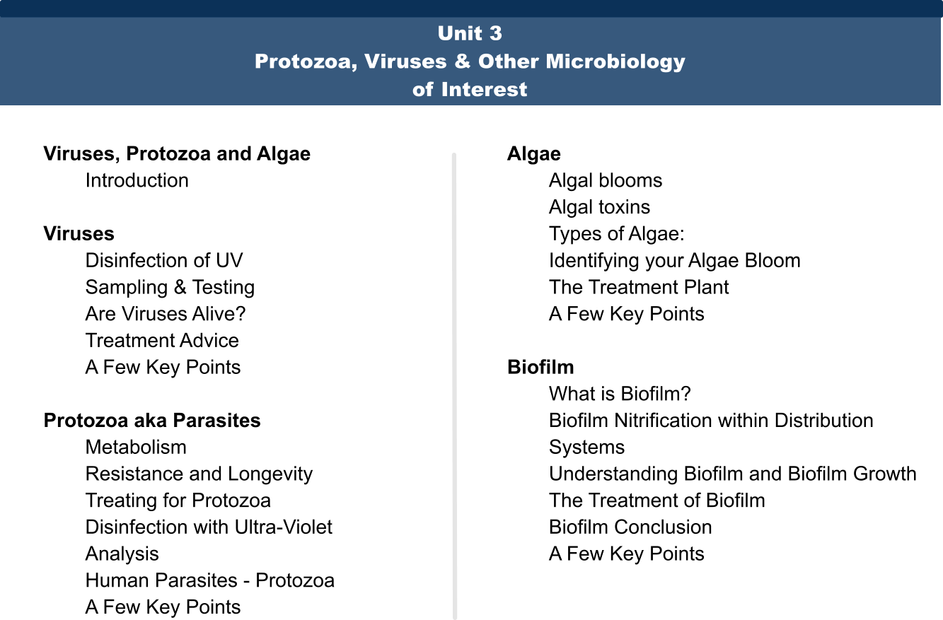 UNIT 3 - Table of Contents